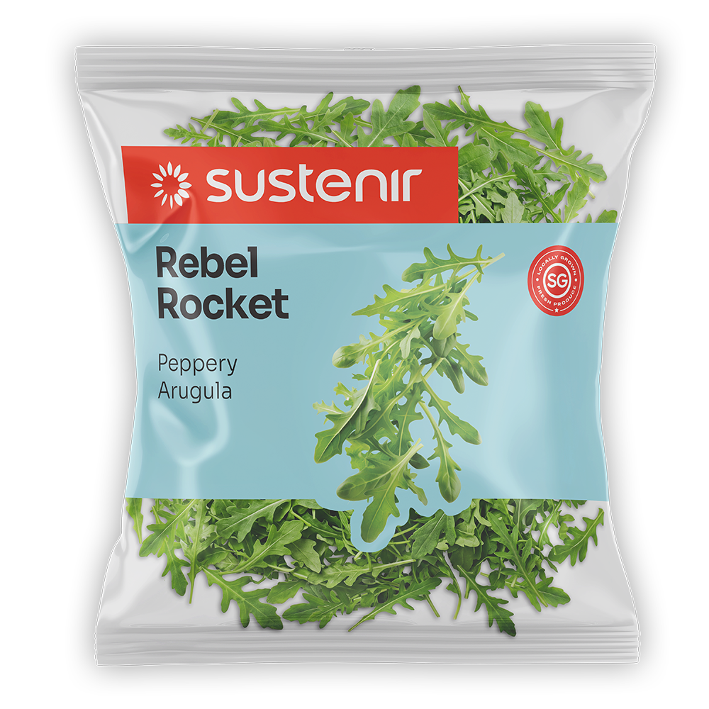 Rebel Rocket